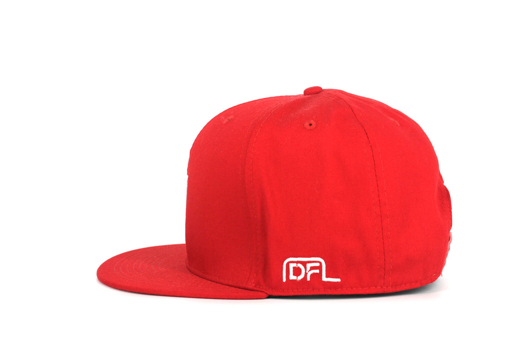 D-FRAME